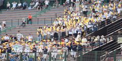 【１回戦・白樺学園―別海】得点のたびに盛り上がる白樺学園の応援席