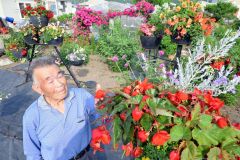 忠類「花いっぱい運動」　民家も花盛り