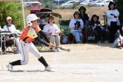決勝　稲田タイガース―柏ゴールドオークス