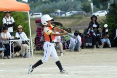 決勝　稲田タイガース―柏ゴールドオークス
