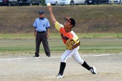 決勝　稲田タイガース―柏ゴールドオークス