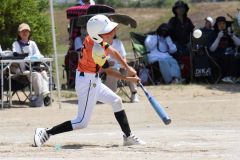 決勝　稲田タイガース―柏ゴールドオークス