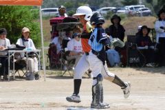 決勝　稲田タイガース―柏ゴールドオークス