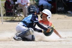 決勝　稲田タイガース―柏ゴールドオークス