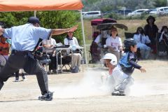 決勝　稲田タイガース―柏ゴールドオークス