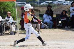 決勝　稲田タイガース―柏ゴールドオークス