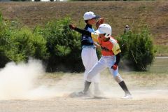 決勝　稲田タイガース―柏ゴールドオークス