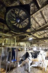 ドイツ製ファンで快適な飼育環境を整える