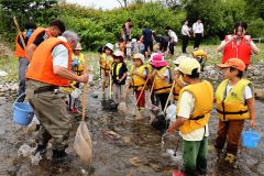 川の生き物「かわいい」　あじさい保育園が水辺の楽校