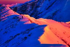 日高山脈写真展　来月１日開幕　懸ける思い（下）