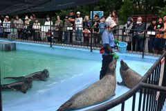 飼育展示係の藤澤美緒さからアザラシについて解説を受ける来園者ら