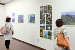 さまざまな角度から捉えた山脈の作品が並ぶ会場の様子(1日午前10時10分ごろ、帯広市民ギャラリーで、撮影助川かおる通信員)