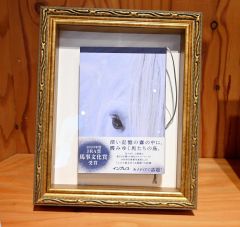 ＪＲＡ賞馬事文化賞を受賞した岡田さんの書籍「エピタフ　幻の島、ユルリの光跡」