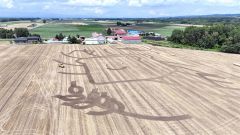 三浦農場の小麦畑の一角にお目見えした巨大な地上絵(Studio9×7 氏家浩之ドローン撮影)