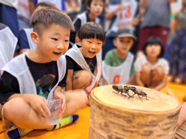 【写真】昆虫も熱戦“オリンピック”　屈足伝統イベント５０回の節目