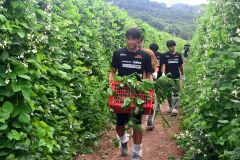 管内外サッカー強豪校の高校生、農作業を体験「進路の視野広がる」
