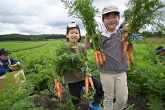 橋本さん方の畑でニンジンの収穫に挑戦する子どもら