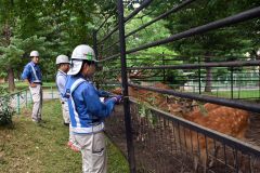 伐採木をエゾシカに給餌する萩原建設土木部社員ら