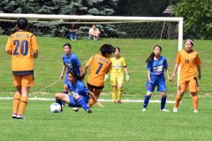 第8節 十勝FSリトルガールズ(青ユニホーム)―クラブフィールズ・リンダ