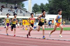 男子3000メートル決勝