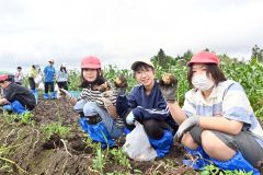大きなジャガイモを手堀りで収穫した児童たち