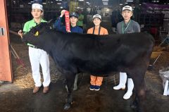 国立大から共進会初出品　帯畜大の肉牛サークル生産和牛　道肉用牛共進会で入賞も