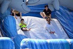 2万8000人が晩夏楽しむ 本別きらめきタウンフェス~写真特集 19