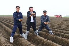 ジャガイモを収穫する(左から)杉浦大斗幕別支所長、田崎一也社長、橋詰仁組合長、(5日、午前10時15分ごろ、帯広市以平町で。金野和彦撮影)