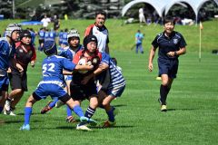 トライを目指す帯広ラグビースクールの小学校高学年の選手