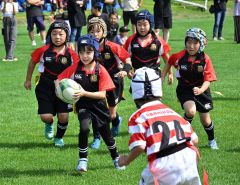 幼児・小学生から社会人まで５００人の選手躍動、帯広市民ラグビー大会