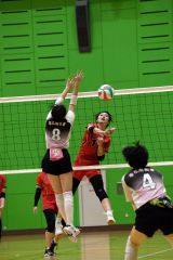 帯南商快勝V、男子は白樺学園制す 理事長杯高校バレーボール大会 9