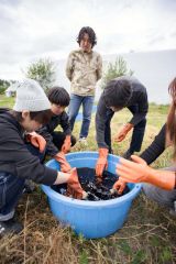 広尾で草木染ツアー　東京の大学生らが参加 4