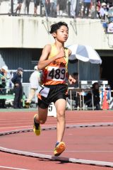 男子800㍍予選3組