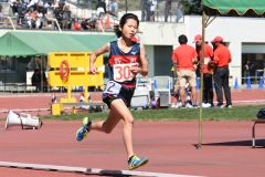 女子800㍍予選6組
