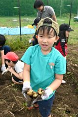 「大きくてびっくり」 広尾小児童がジャガイモ収穫を体験 2