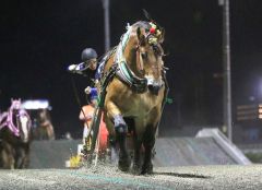異次元の末脚を見せたタカラキングダムと金田利貴騎手(ばんえい十勝提供)
