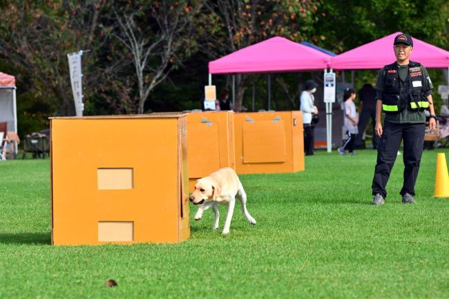 救助犬の嗅覚すごい！　災害救助犬が捜索実演