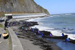 広尾フンベ海岸でコンブフィーバー 大しけ一転 2