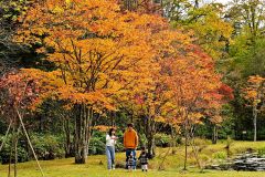 秋色、深まる　鹿追・福原山荘で紅葉が見頃　２０日まで無料公開 5