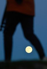 スーパームーンと来訪者(17日午後4時半すぎ、帯広の森の「もりの山」で。塩原真撮影)