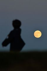 天体観測に訪れた子どもとスーパームーン(17日午後5時ごろ、帯広の森の「もりの山」で。塩原真撮影)