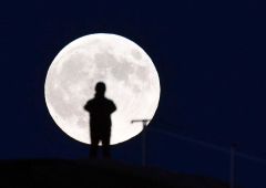 彗星観察に訪れた市民とスーパームーン(17日午後5時ごろ、帯広の森の「もりの山」で。塩原真撮影)