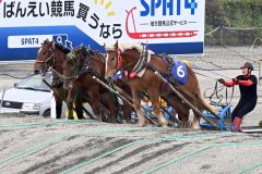 第2障害で競り合う1才馬たち(須貝拓也撮影)