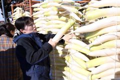 手際よくダイコンを天日干しにする平和園の従業員(22日午前9時半ごろ、須貝拓也撮影)