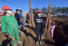 川西小でナガイモ掘り体験 8