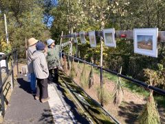 木を活用したプログラムや洋食など楽しむ 足寄でアイカップフェスト 8