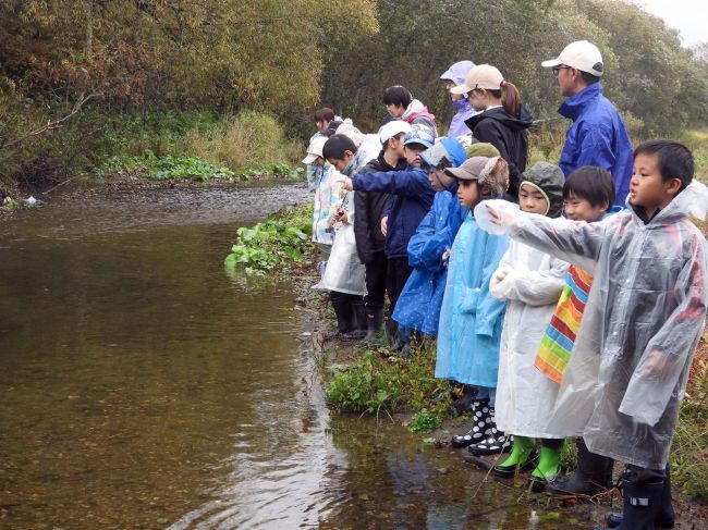 サケの遡上「すごい」 浦幌小、上浦幌中央小が厚内川で見学