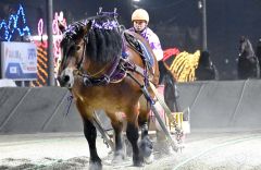 力強い歩みで一人旅。2着に大差を付けて快勝したメムロボブサップと阿部騎手