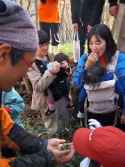 ブランコや散策、秋の森の一日満喫 豊頃で「森っとひろば」 2