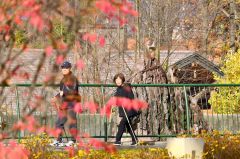 動物を見て回る来園者(4日、午前9時半ごろ。金野和彦撮影)